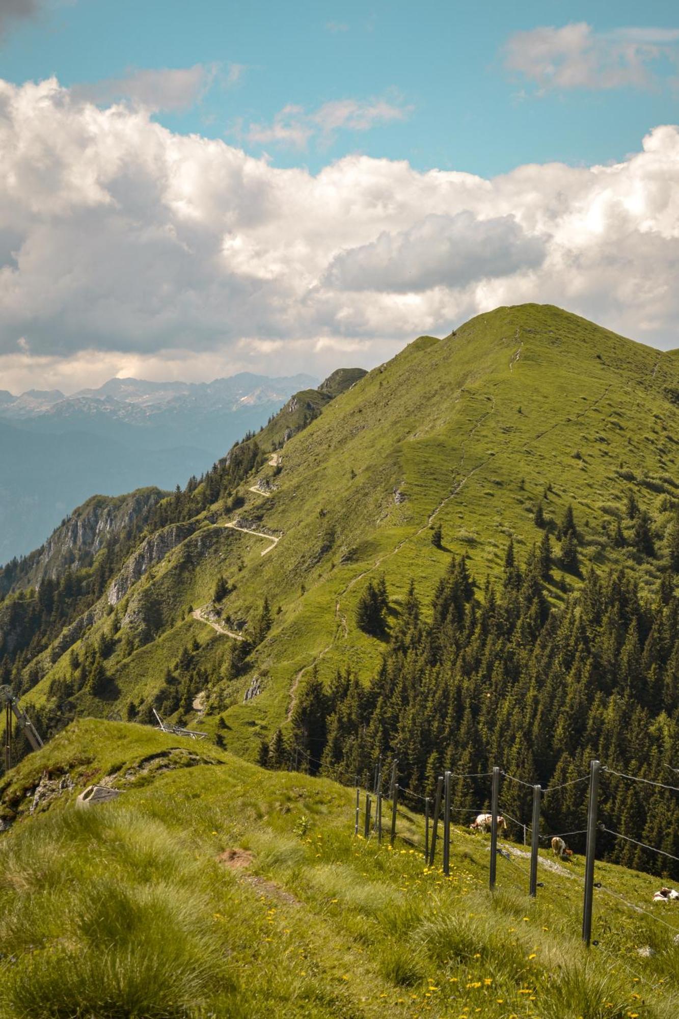 Guesthouse Lajnar Zgornja Sorica Exteriér fotografie